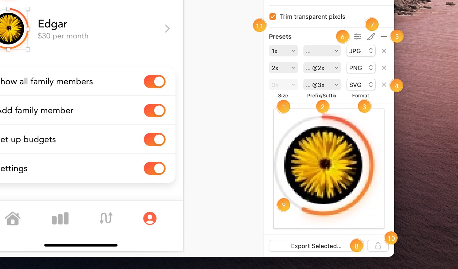 An annotated image showing the options in the export panel of the Inspector